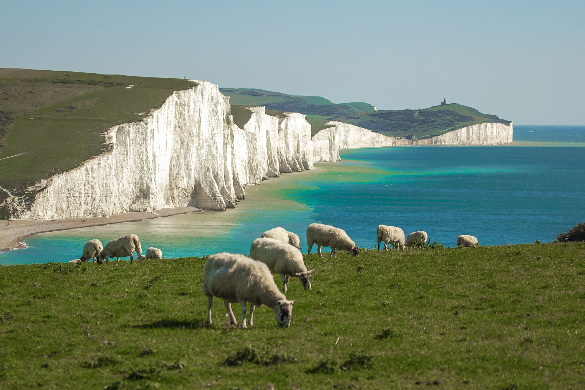 eastbourne-gallery